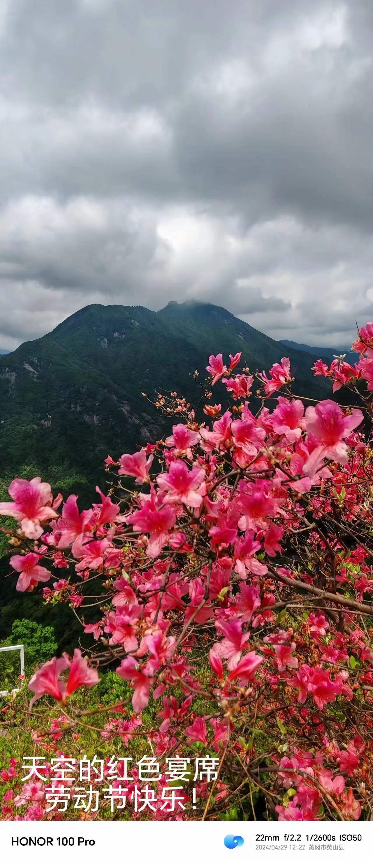 红色湘土上的精神追寻:参谒毛主席、彭德怀、陈赓、谭政故居