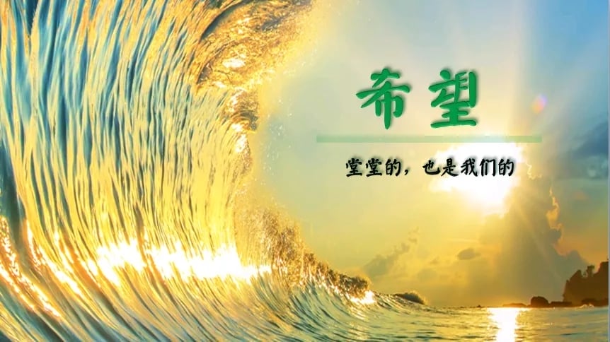 南宫28pc下载 承接上市公司新疆亿路万源控股股份有限公司年报审计