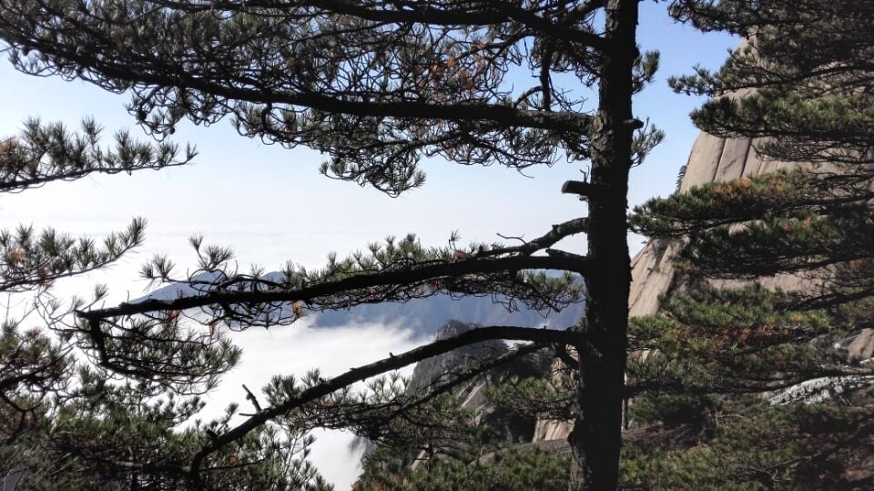 不良贷款与不良资产服务|企业财务顾问服务|深圳会计师事务所