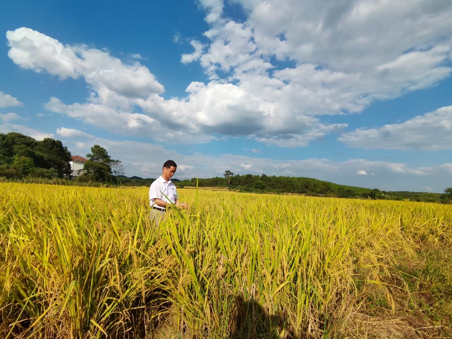 南宫官网下载app安装苹果 图片_202112161638343 南宫官网下载app安装苹果 图片_202112161638343