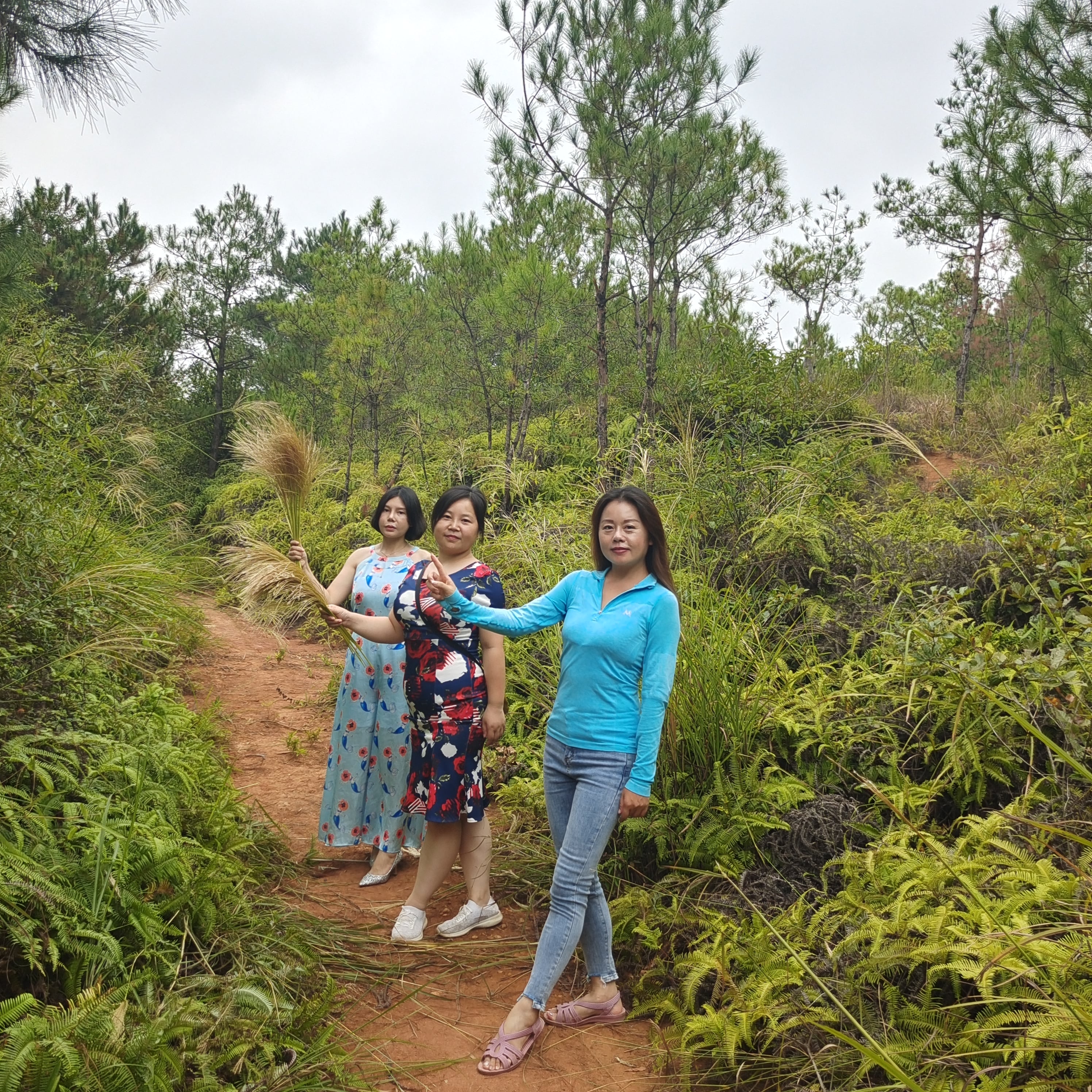 南宫官网下载app安装苹果 图片_202112161659334 南宫官网下载app安装苹果 图片_202112161659334