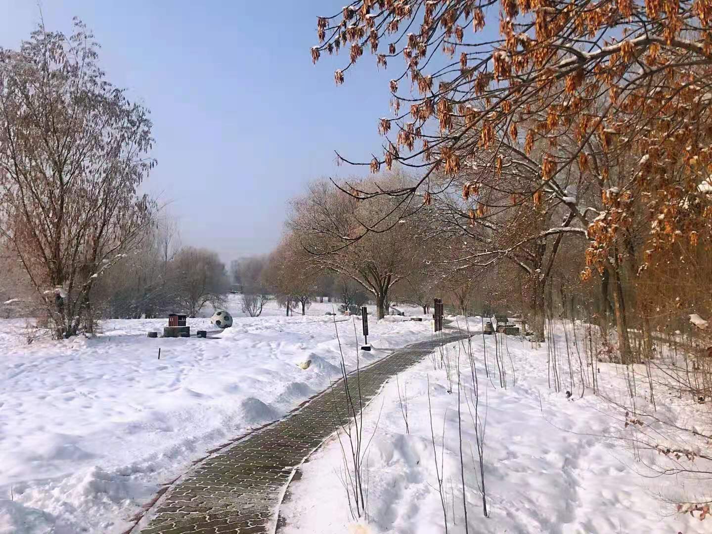 南宫官网下载app安装苹果 图片_20210111001908 南宫官网下载app安装苹果 图片_20210111001908