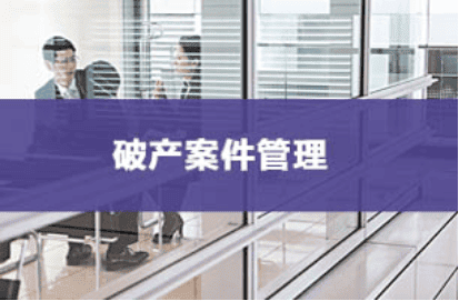 南宫28pc下载 破产案件管理